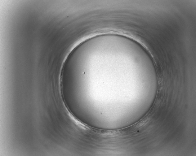 X0000064051535200602101437