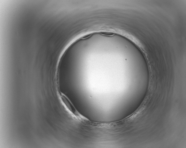 X0000064051536200602101437