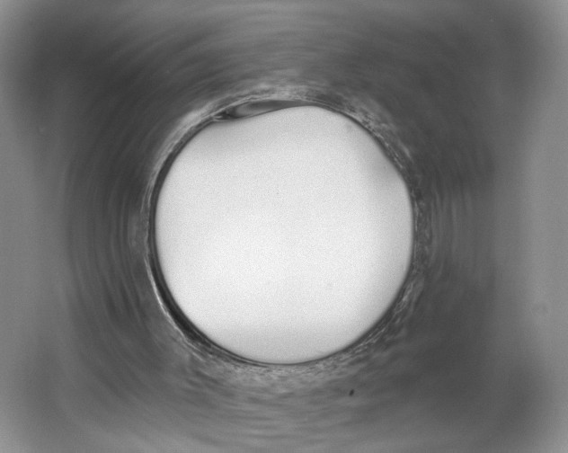 X0000064050003200602171723