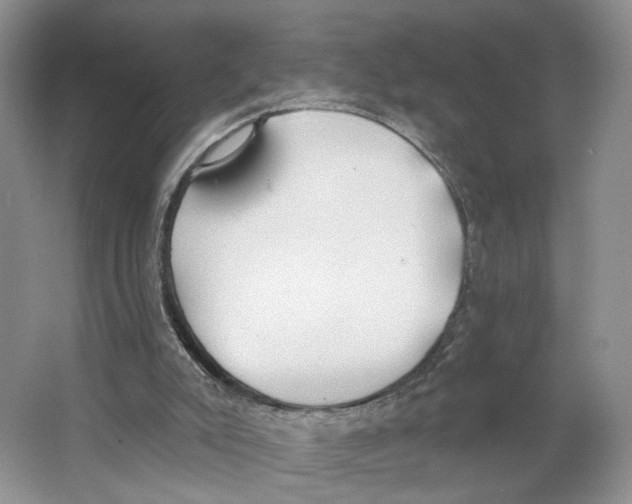 X0000064050007200602171723