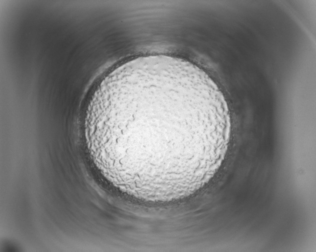 X0000064050012200602171722