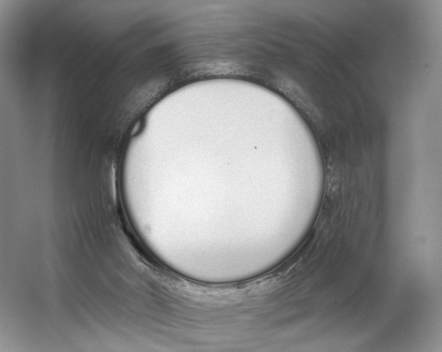 X0000064050014200602171722