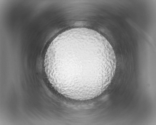 X0000064050016200602171722