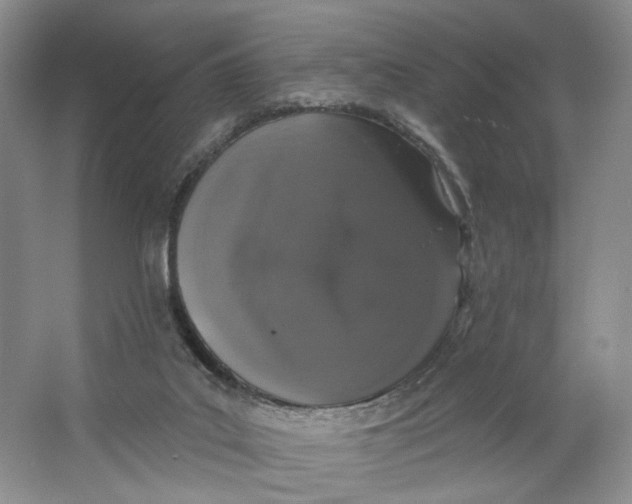 X0000064050019200602171722