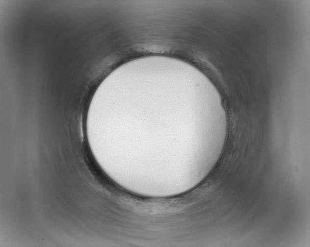 X0000064050020200602171722