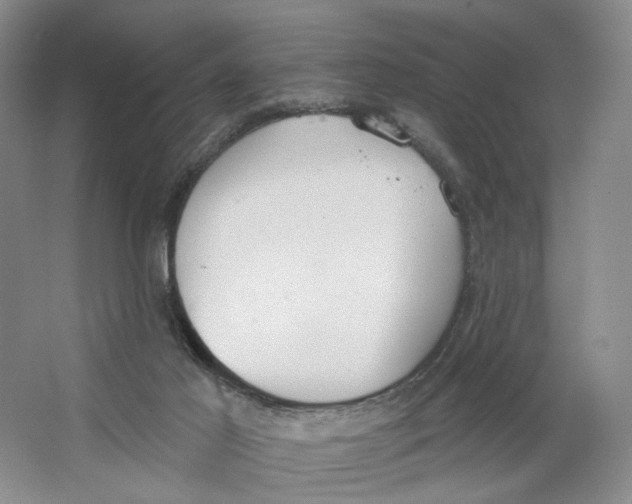 X0000064050021200602171722