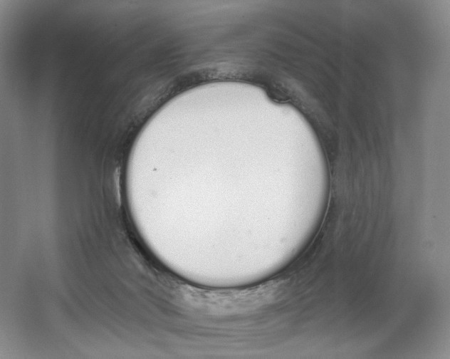X0000064050022200602171722