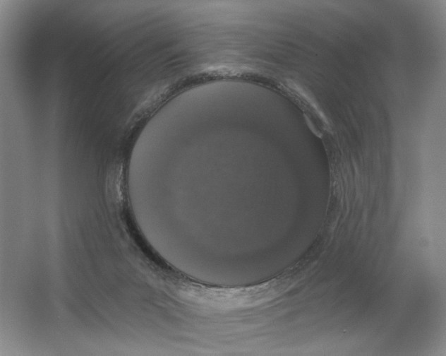 X0000064050023200602171722