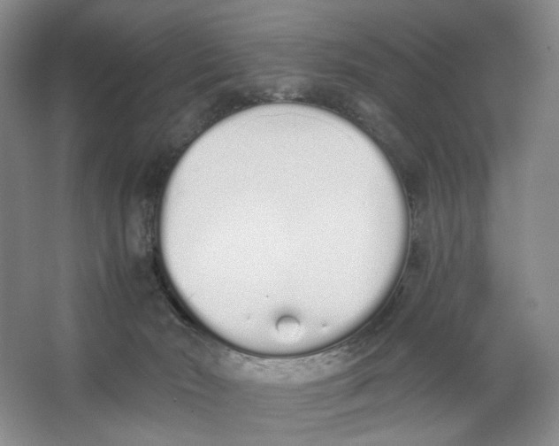 X0000064050030200602171722