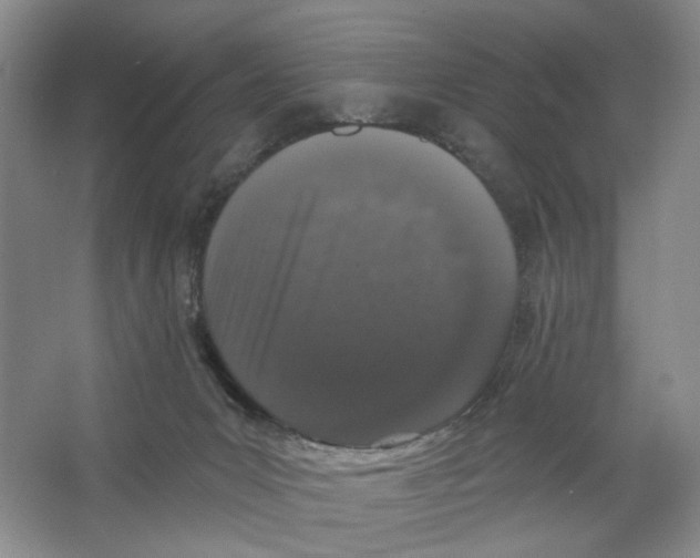 X0000064050031200602171722