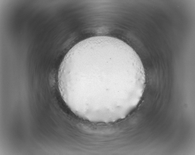 X0000064050032200602171722