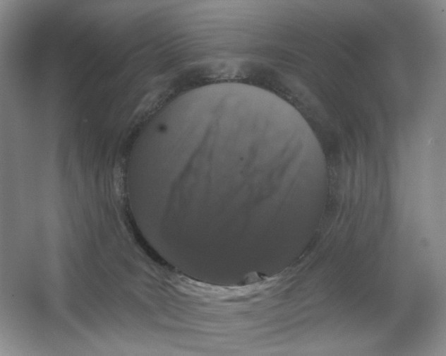 X0000064050035200602171722