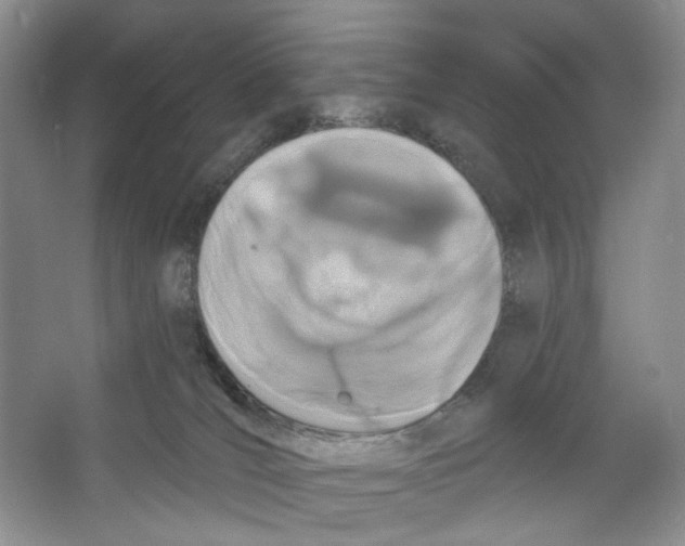 X0000064050036200602171722