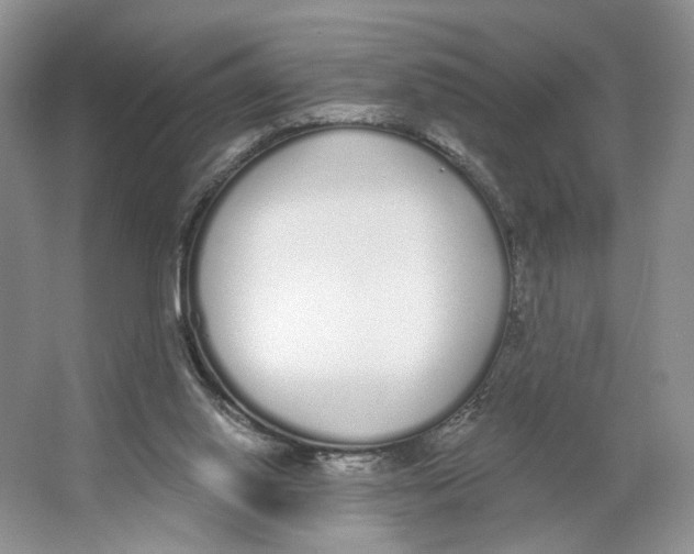X0000064050062200602171721