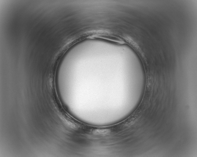 X0000064050063200602171721