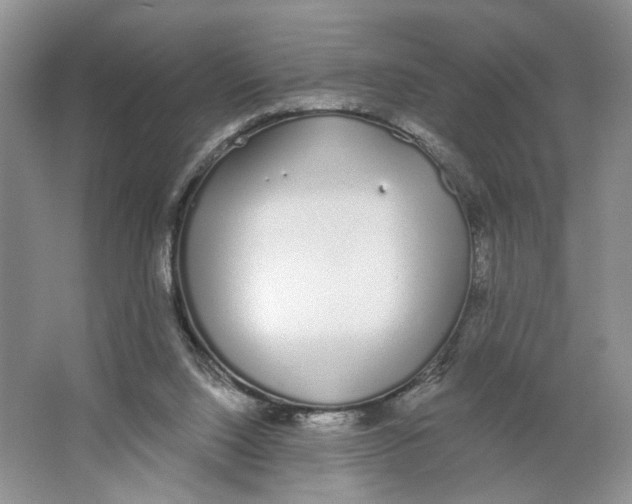 X0000064050064200602171721