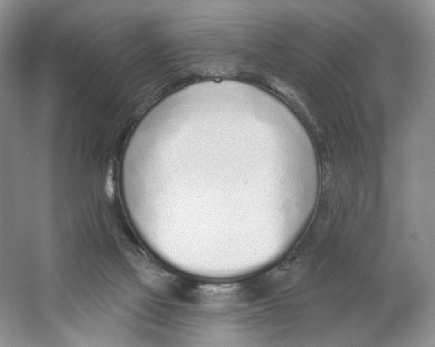 X0000064050069200602171721
