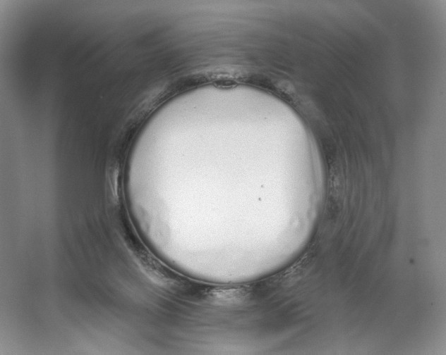 X0000064050070200602171721
