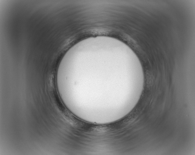 X0000064050071200602171721