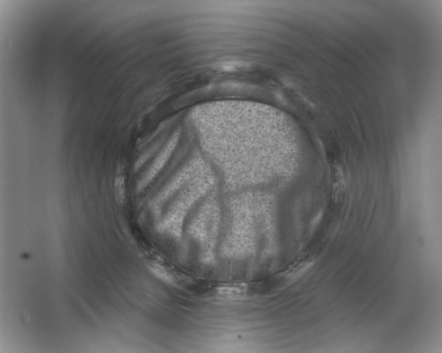 X0000064050080200602171722