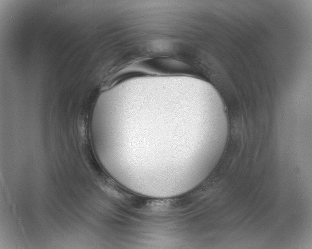 X0000064050084200602171722