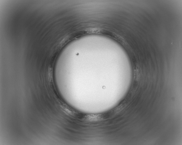 X0000064050093200602171722
