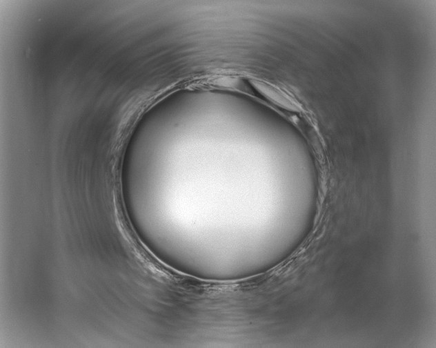 X0000064050097200602171721