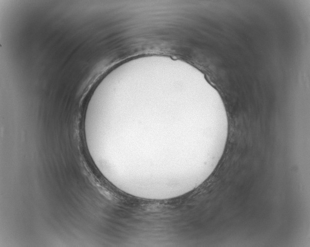 X0000064050098200602171721