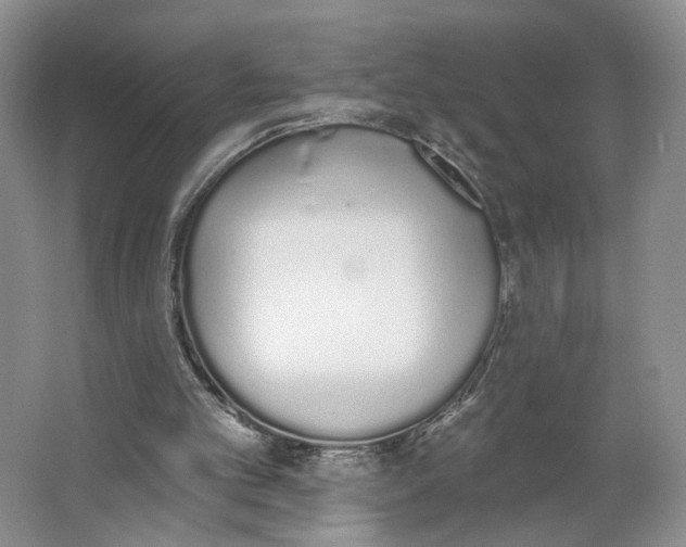 X0000064050101200602171721