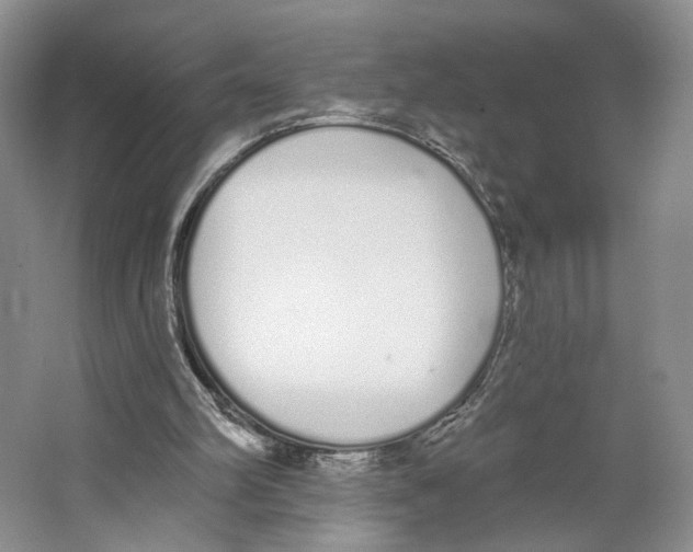 X0000064050102200602171721