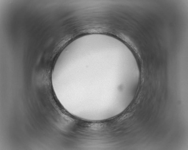 X0000064050105200602171721
