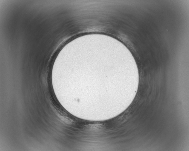 X0000064050108200602171721