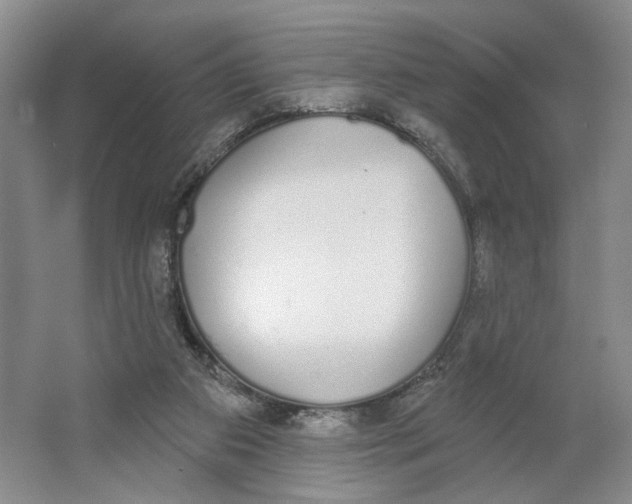 X0000064050113200602171721