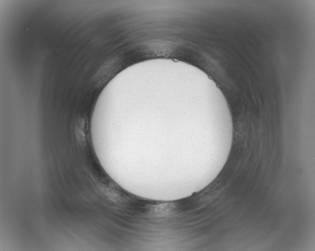 X0000064050122200602171721
