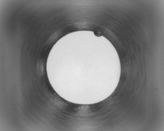 X0000064050124200602171720