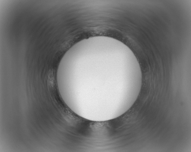 X0000064050129200602171720