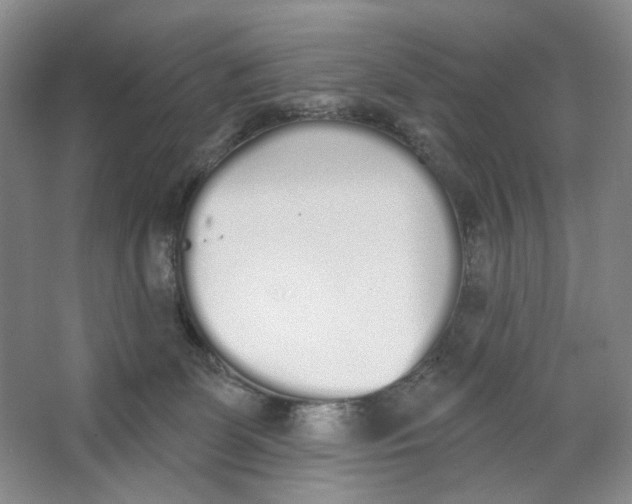 X0000064050131200602171720