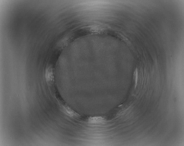 X0000064050137200602171720