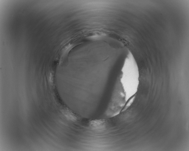 X0000064050139200602171720