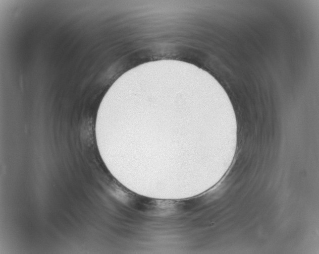 X0000064050144200602171720