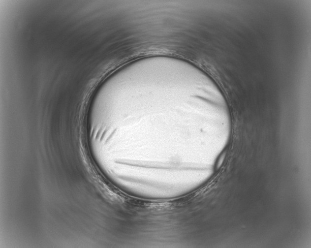 X0000064050145200602171719