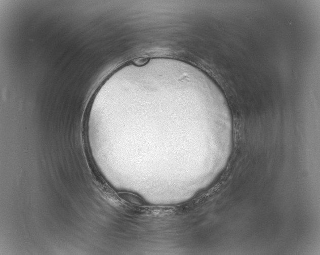 X0000064050147200602171719