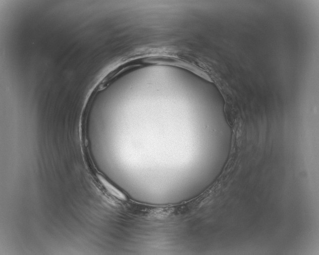 X0000064050148200602171719