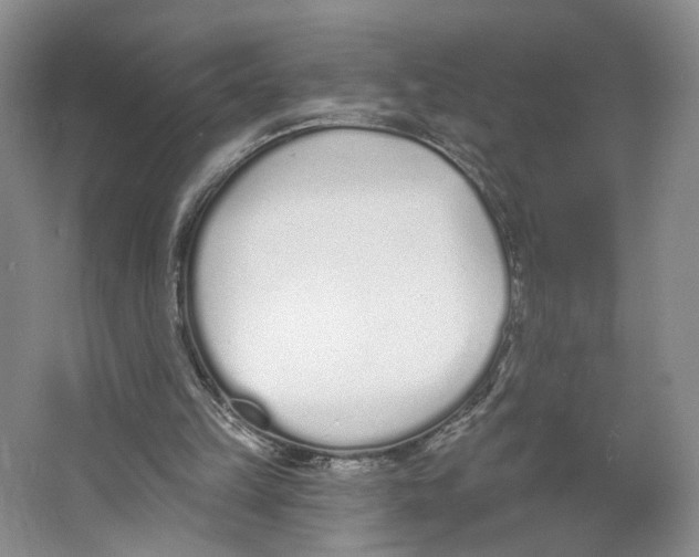 X0000064050149200602171719