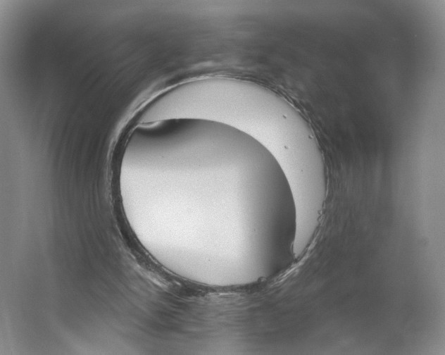 X0000064050150200602171719