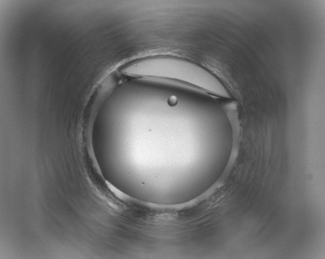 X0000064050156200602171720