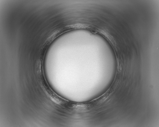 X0000064050157200602171720