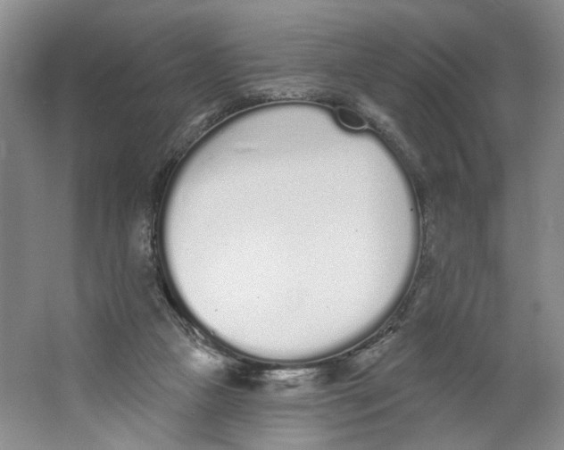 X0000064050161200602171720