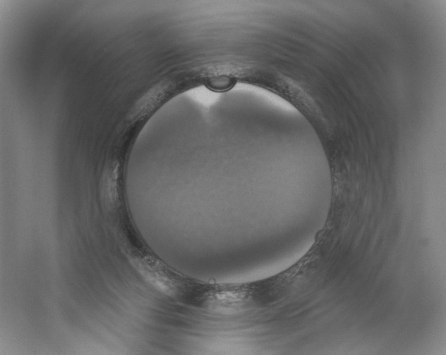 X0000064050163200602171720
