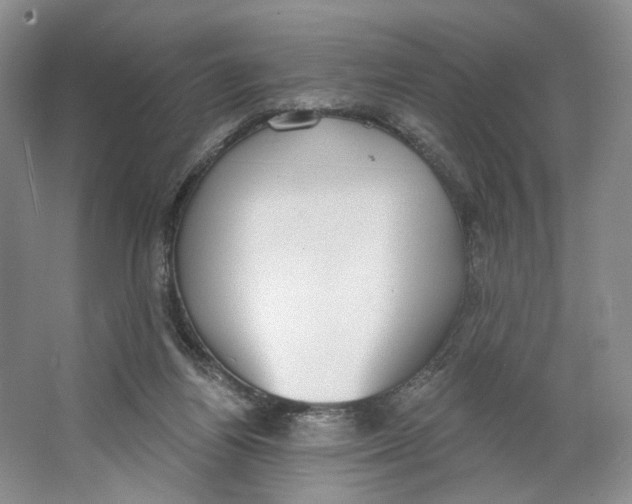 X0000064050164200602171720